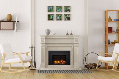 Ambiance: 30-Inch Electric Insert