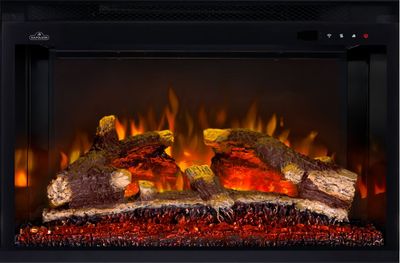 Napoleon: Rosedale Electric Built-in NEFB29H