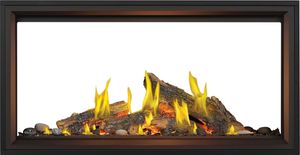 Napoleon: Tall Linear Vector See-Through TLV50L with Luminous Logs