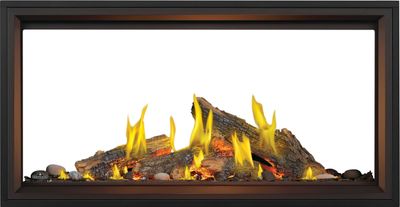 Napoleon: Tall Linear Vector See-Through TLV50L with Luminous Logs