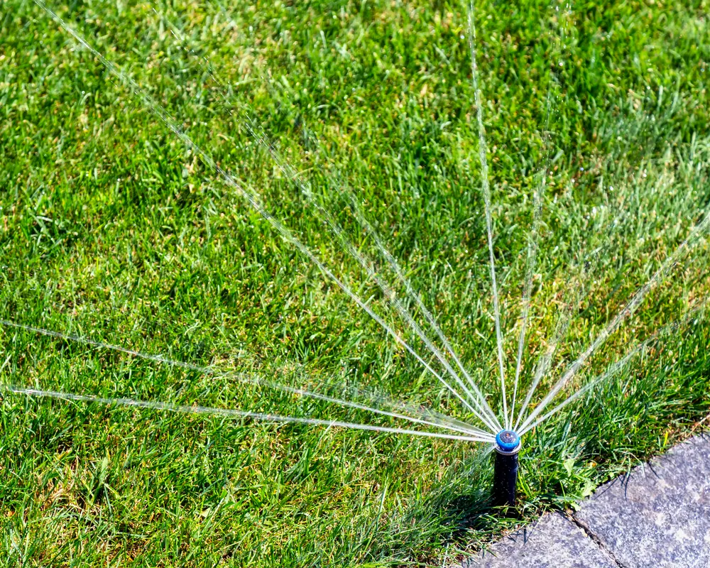 A sprinkler head fanning water across a green Michigan lawn on a summer morning