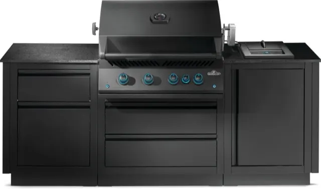 Napoleon OASIS® 300 Bundle, Built-In 700 Series 32 with Infrared Rear Burner Natural Gas, Matte Black gas grill